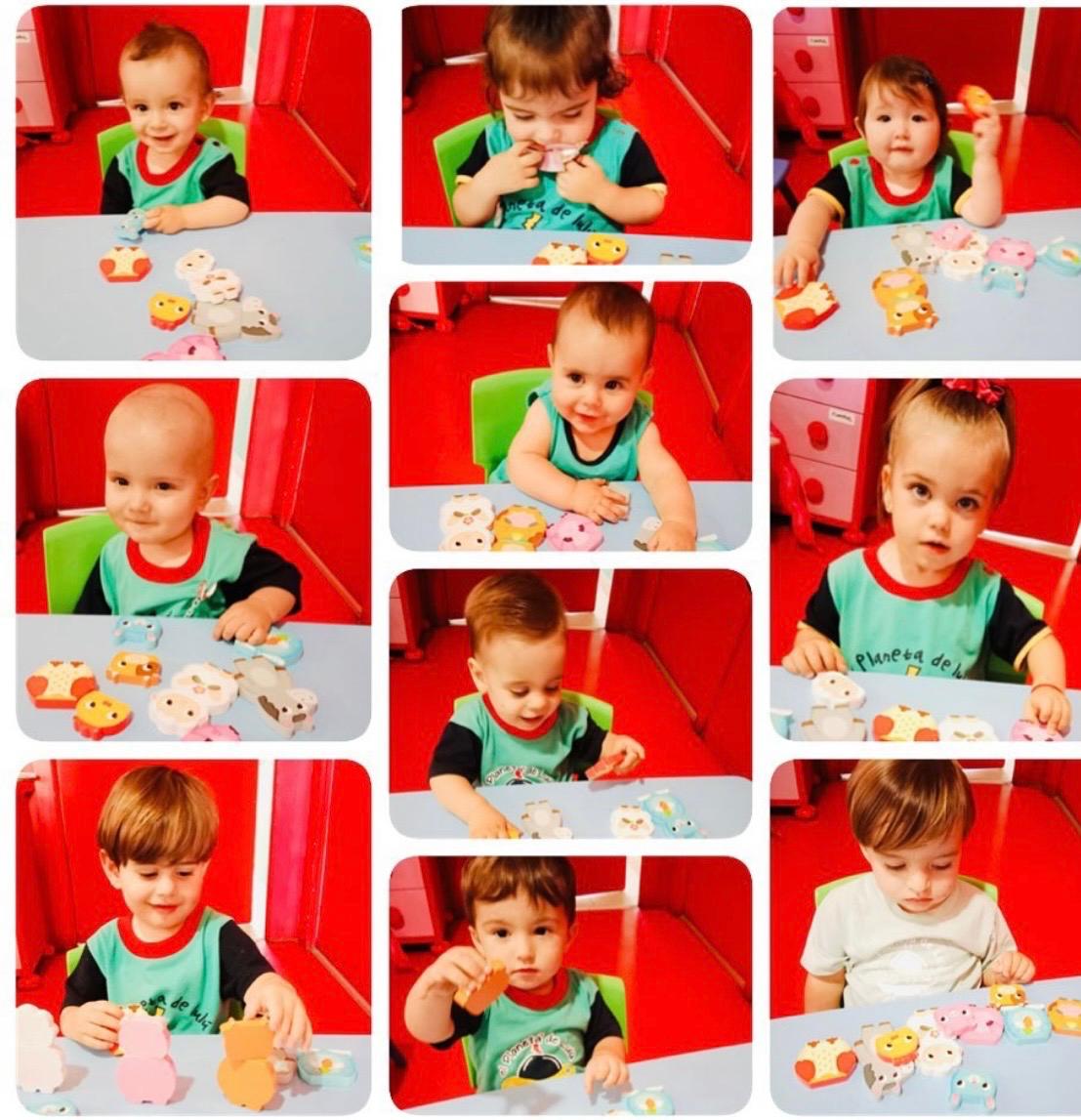 Descubriendo los animales