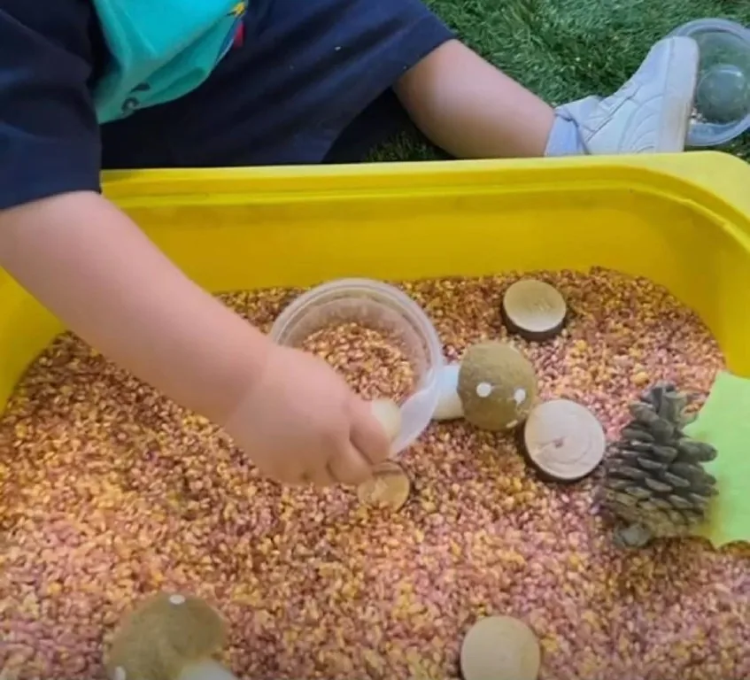 Bandeja sensorial de otoño con legumbres, piñas y cucharas